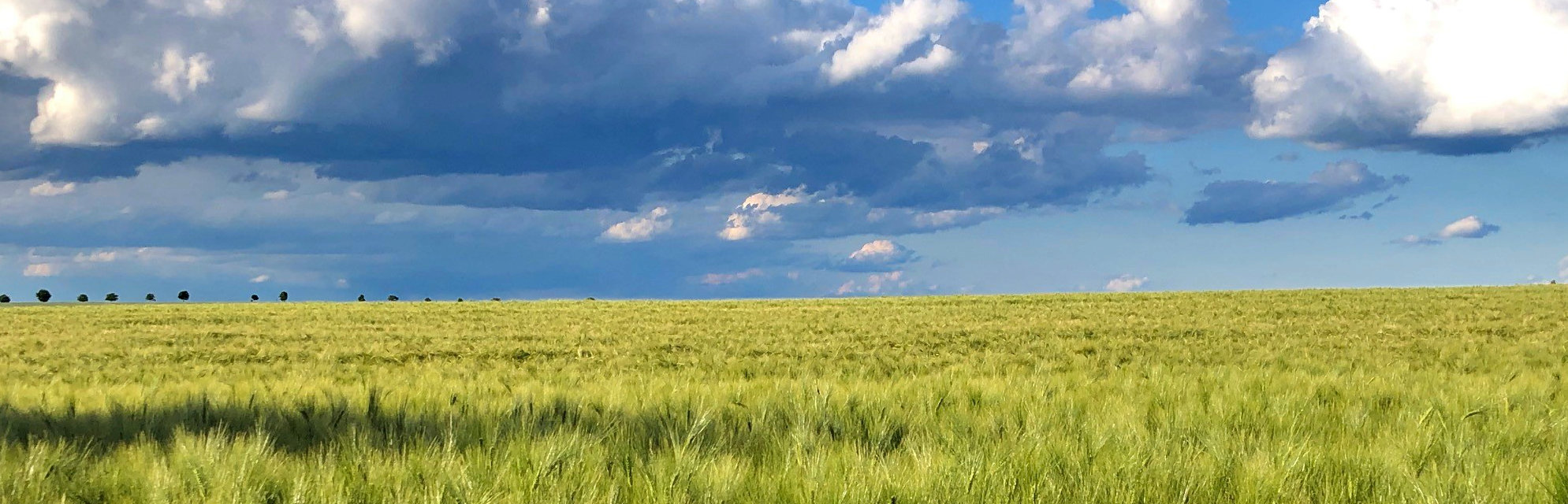 Landscape around Wolfenbüttel